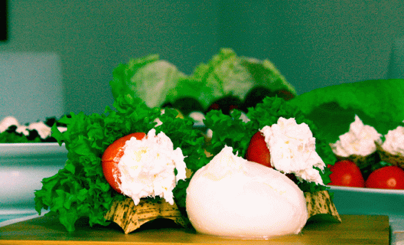 Quesos frescos italianos, hechos en España con leche de vaca, de muy alta calidad