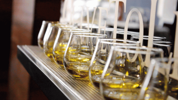 Aceites de oliva virgen extra en vasos de cata