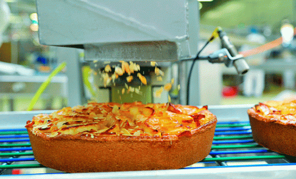 Tarta de Erlenbacher