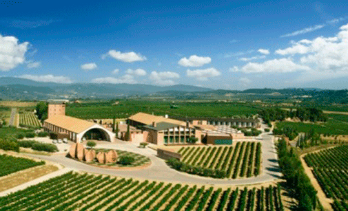 Las bodegas de Juvé & Camps en Espiells