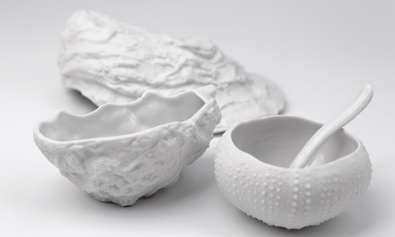 Ostras y erizos en porcelana