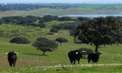 La dehesa de Badajoz