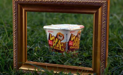 Pack de comida preparada