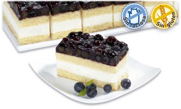 Plancha de arándanos, sin lactosa y sin gluten, de Erlenbacher