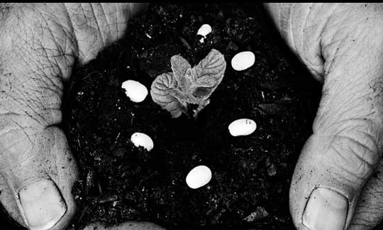 Imagen de la web del Basque Culinary World Prize