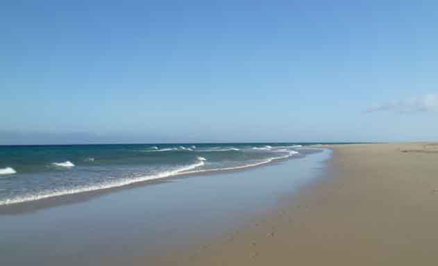 Profesionalhoreca, playa de Fuerteventura, destinos turísticos