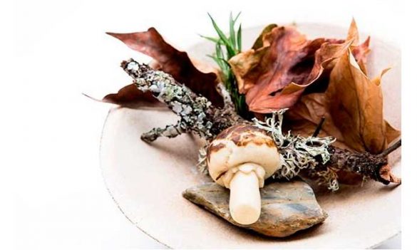 Placer Otoñal, la tapa ganadora