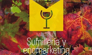 Máster en Sumillería y Enomarketing