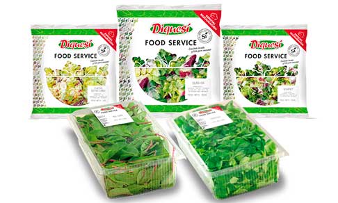 Ensaladas y brotes para la hostelería DiqueSí