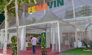 Fenavin 2017
