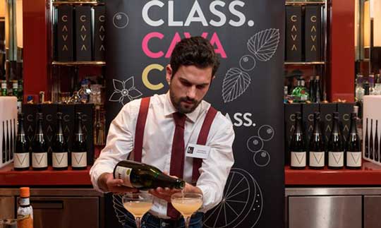 Participante del concurso Cava Mixology Cup