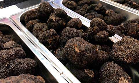 La trufa negra de Soria, un tesoro gastronómico