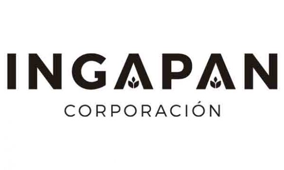 Logo de Ingapan Corporación