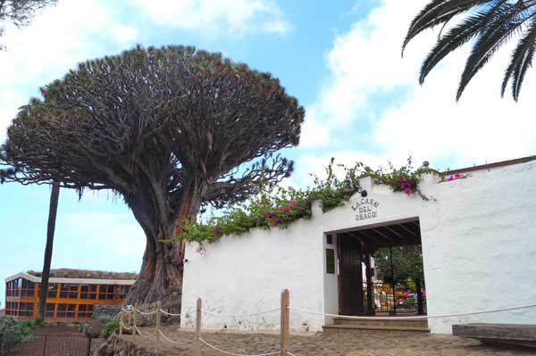 Profesionalhoreca, La Casa del Drago en Tenerife