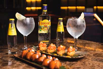 Profesionalhoreca, gin-tonics de Gordon's y Schewppes