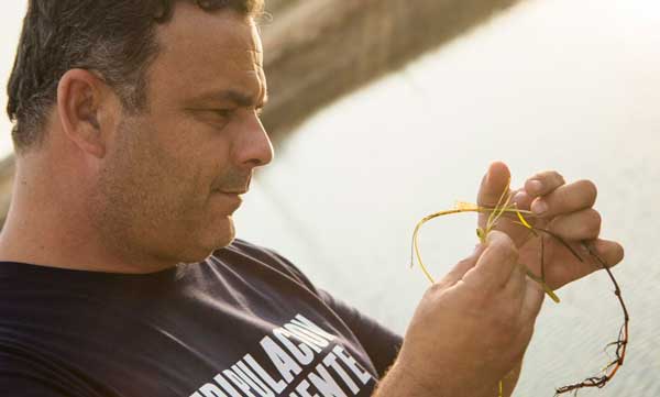 Profesionalhoreca, Angel León con la zostera marina, planta de la que procede el arroz de mar