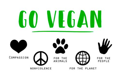 Proefsionalhoreca, cartel en inglés de hazte vegano