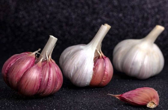 Profesionalhoreca, concurso gastronómico, ajo morado de las pedroñeras