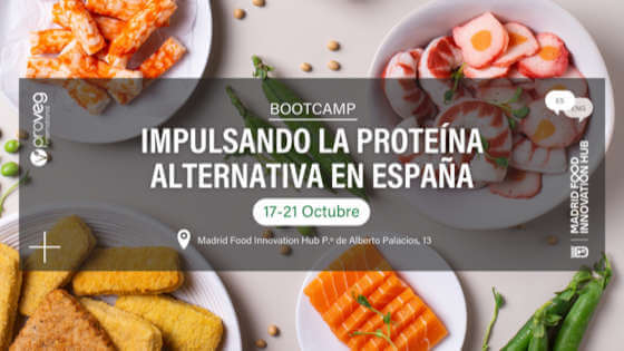 Profesionalhoreca, Bootcamp de ProVeg sobre proteína alternativa en españa