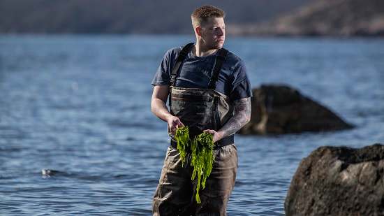 ProfesionalHoreca, Nicolai Ellitsgaard, el chef que ama las algas. Encuentro de los Mares 2022