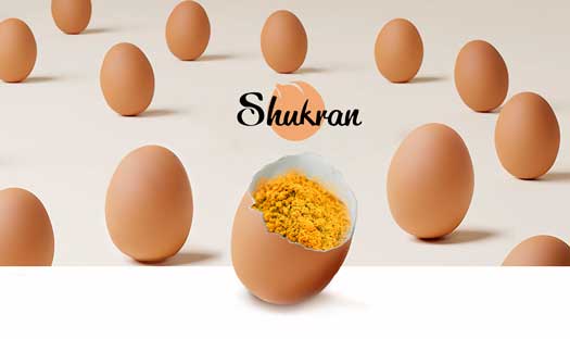 Profesionalhoreca, huevo vegano de Shukran Foods