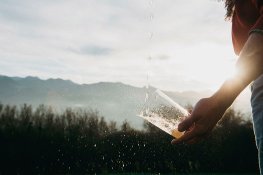 Profesionalhoreca,escanciado de sidra, Gourmets