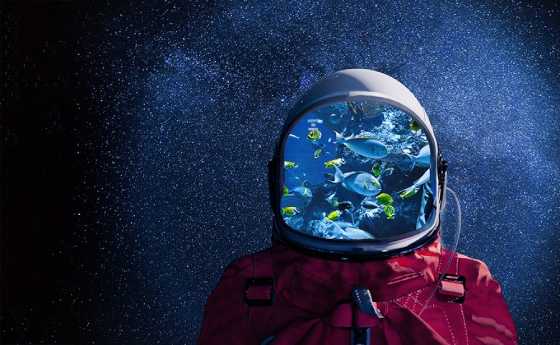 ProfesionalHoreca, Sutus 2023, turismo espacial y subacuático