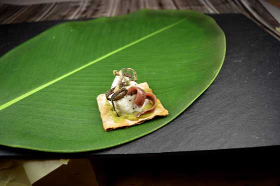 Profesionalhoreca, Cracker de burratina Laduc  con aguacate y anchoa