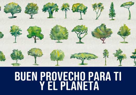 Profesionalhoreca, campaña de Risso: plantará un árbol por cada tonelada de aceite vendida