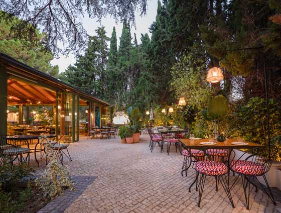 Profesionalhoreca, terraza del restaurante Casa Limón, Sevilla