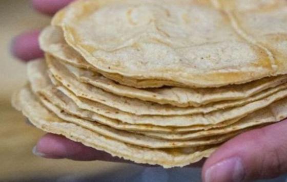 tortillas mexicanas gourmet 100% españolas