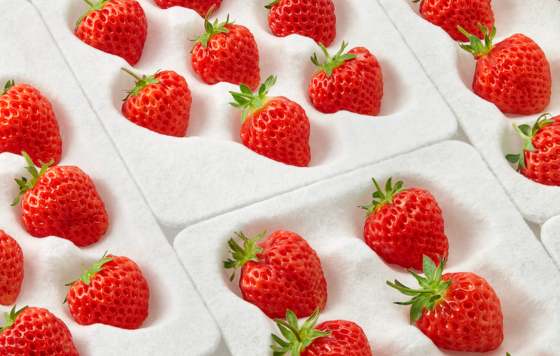 ProfesionalHoreca- Aloalto, fresas japonesas, OKU Berry, gastronomía contemporánea,