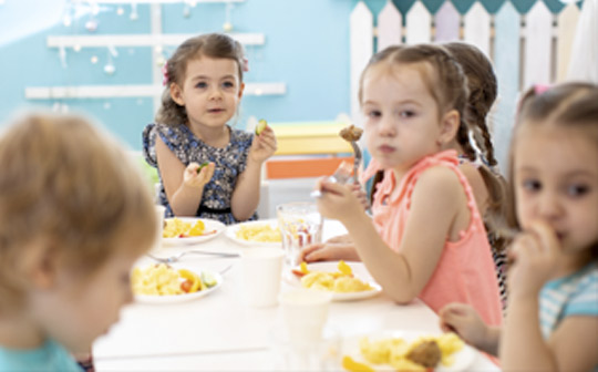 Profesional Horeca, alimentación en centros escolares, restauración colectiva