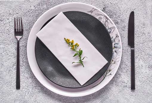 Profesionalhoreca, servilleta desechable Novotela Bio de La Pajarita