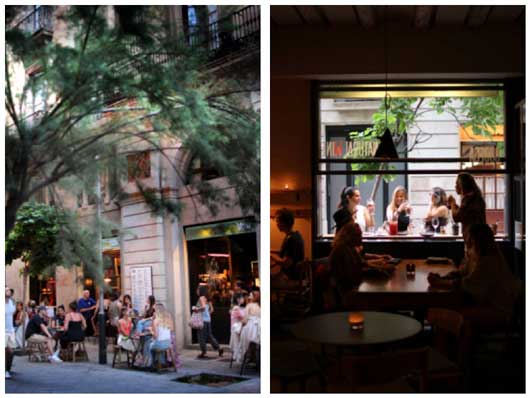 Prosional Hoerca, Terraza e interior de Tapas Lobito