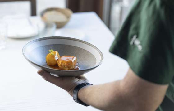 Profesional Horeca, Rollo de bonito de Texu