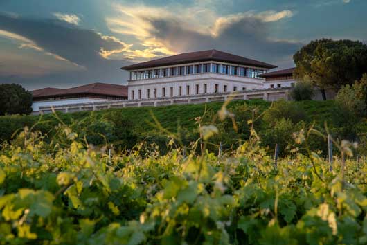 Profesiinal Horeca, viñedo de Rioja Vega