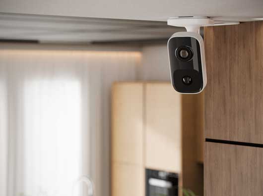 Profesional Horeca, cámara de videovigilancia