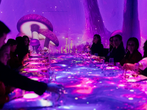 Profesional Horeca, restaurante Sinestesia, tecnología y alta cocina en Madrid