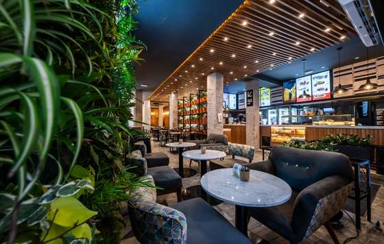 Profesionalhoreca- Tostado