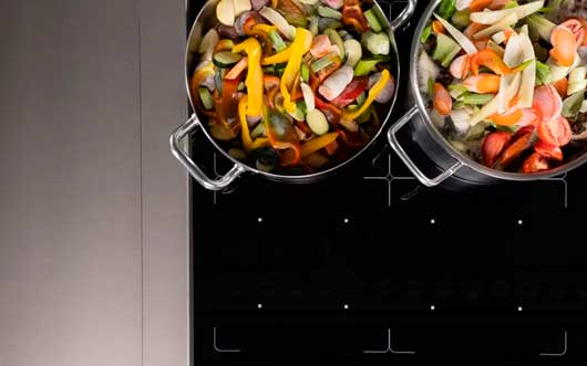 Profesional Horeca, inducción e-XP free zone de Electrolux Professional