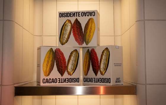 ProfesionalHoreca- Sala de Despiece, Fundación del Producto, Cacao Desidente