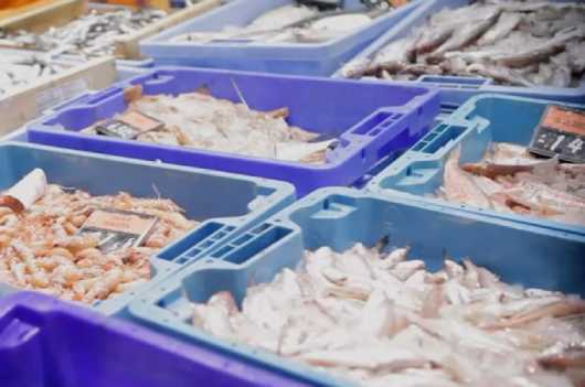 Profesional Horeca, pescado de Kofradia Basque Seafood (KBS)