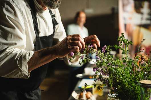 Profesional Horeca,  cocinero en el certamen gastronómico CuinAigua