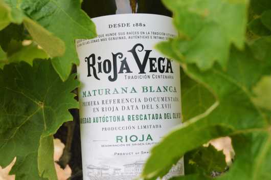 Profesional Horeca, vino Rioja Vega Maturana Blanca