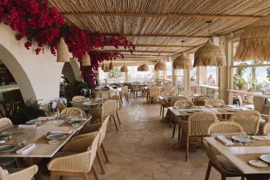 Profesional Horeca, restaurante Leña en el hotel Bless Ibiza The Site