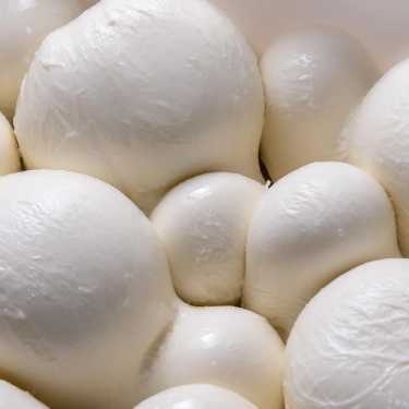 Profesional Horeca, mozzarella de búfala Barlotti