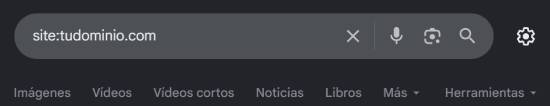 Profesional Horeca - buscando tu dominio en Google