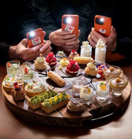 Profesional Horeca, postres hechos con bases Debic